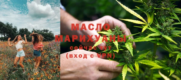 дмт Алексин